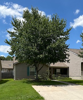 8617 Little Field Way